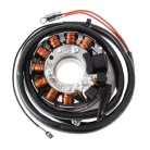 Gyújtás, SIMSON VAPE / POWERDYNAMO 12V/100W DC, egyenáramú, készlet, ORG