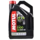 Olaj, MOTUL 5100 ESTER 4T 20W50, 4L