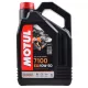Olaj, MOTUL 7100 ESTER 4T 10W50, 4L
