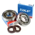 Főtengelycsapágyak