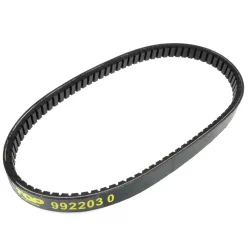 Variátorszíj, TOP PERFORMANCES, PIAGGIO AC