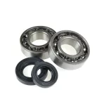 Főtengelycsapágyak