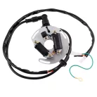 Állórész, gyújtótekercs, CDI, 12V, Romet, Delux