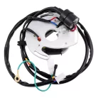 Állórész, gyújtótekercs, CDI, 12V, Romet, Delux