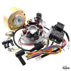   Gyújtás, elektronikus, CDI, 12V, WSK / WFM 125, "mély gyújtás", készlet, DELUX