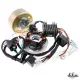 Gyújtás, érintésmentes, CDI, 12V, JAWA / CZ 175, készlet, DELUX