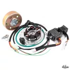 Gyújtás, érintésmentes, CDI, 12V, SHL M06 M11 / WFM 125 S34, DELUX készlet