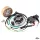 Gyújtás, érintésmentes, CDI, 12V, SHL M06 M11 / WFM 125 S34, DELUX készlet