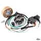Gyújtás, érintésmentes, CDI, 12V, SHL M06 M11 / WFM 125 S34, DELUX készlet