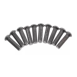   Hátsó lánckerék szegecs készlet, WSK 125 175 SHL M11 WFM M06, 10 db