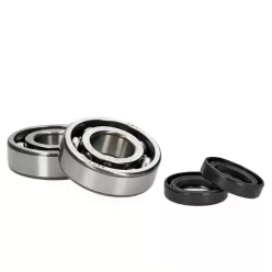 Főtengely csapágy, ALLPRO, METAL C3, PEUGEOT HORIZONTAL