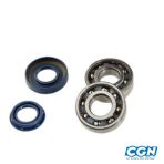 Főtengelycsapágyak