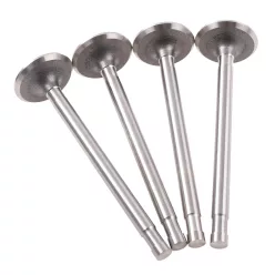   Hengerfej szelepek, DNIEPR K-750 URAL M72 9,10MM készlet DUELLS