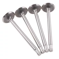   Hengerfej szelepek, DNIEPR K-750 URAL M72 9,15MM készlet DUELLS