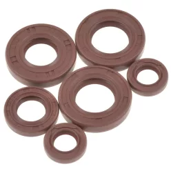 Motorblokktömítés készlet, DERBI EBS050, LYO, Viton